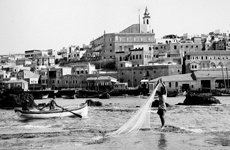 tamari-our-story-jaffa